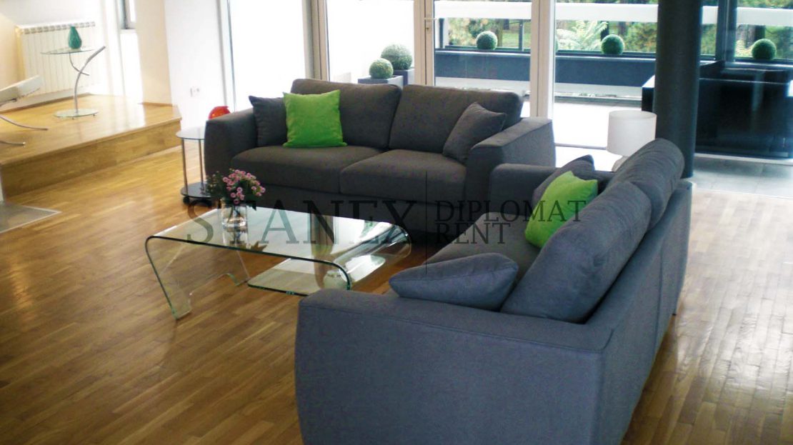 Three bedroom apartment Dedinje Belgrade S1052