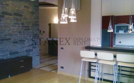 Three bedroom apartment Vracar Belgrade S1236