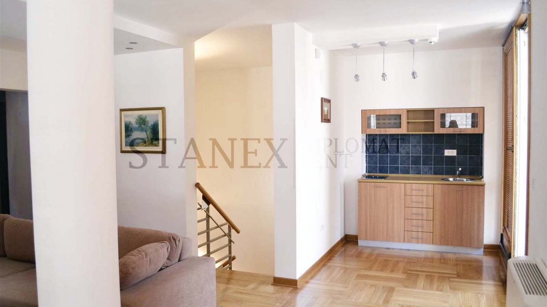 Three bedroom house Dedinje Belgrade K020