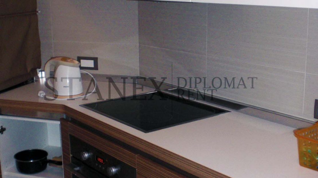 Two bedroom apartment Vracar Belgrade S1490